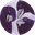 devsabipesto avatar