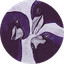 devsabipesto avatar