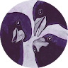 devsabipesto avatar